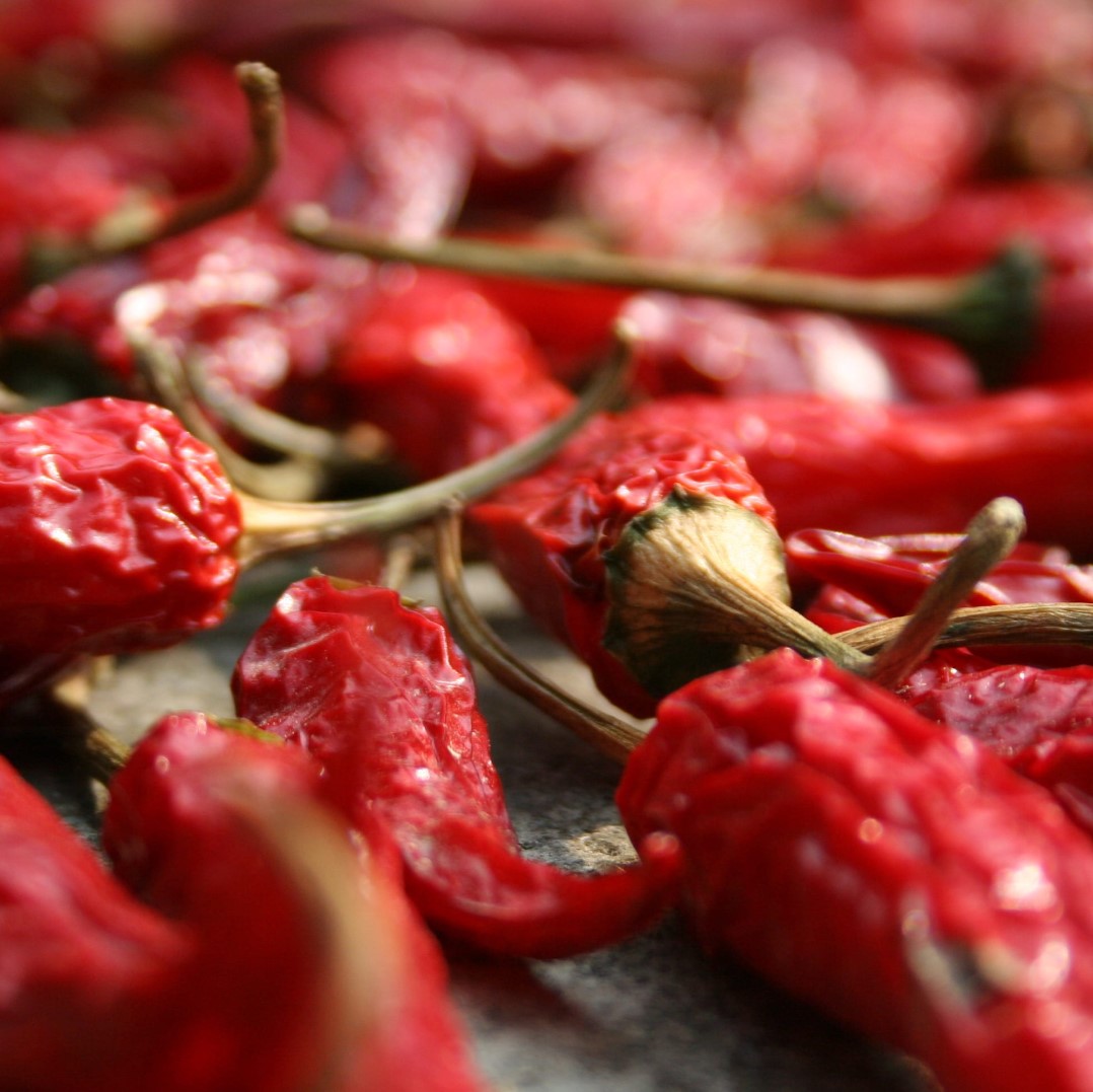 closeup of dried red chillis